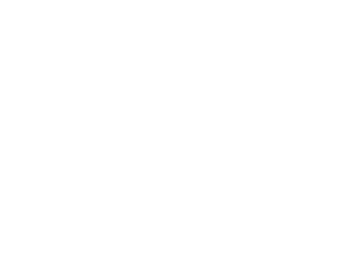 site demo logo blanc